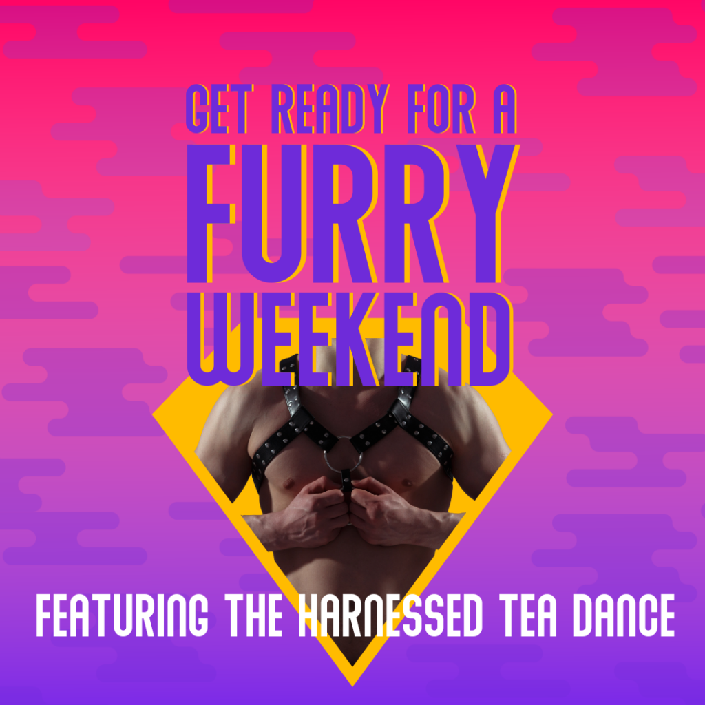 Get ready for a Furry Weekend at the Dunes Resort, featuring the Harnessed Tea Dance.