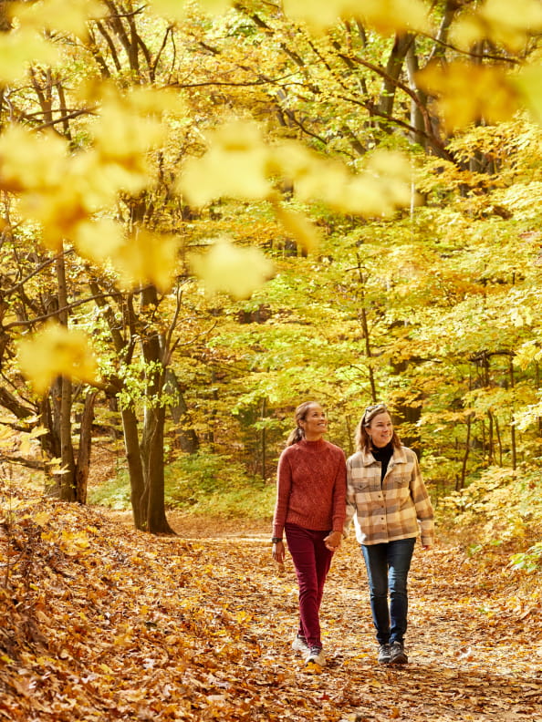 A couple enjoys an autumn walk through a vibrant forest trail, surrounded by golden leaves.
